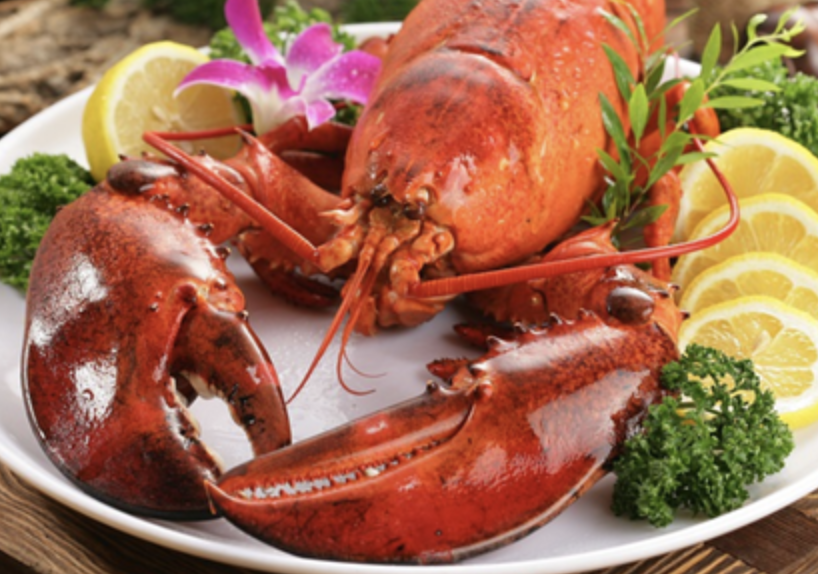 英国将禁止将活龙虾直接投入沸水煮：需先进行人道击晕处理